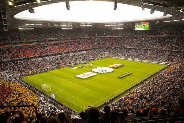 Guide d'achat : le meilleur équipement pour le grappling