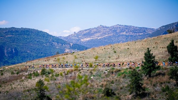 Les essentiels de la nutrition sportive : compléments incontournables